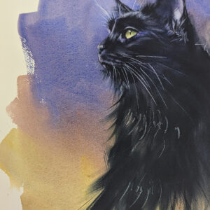 Gato negro